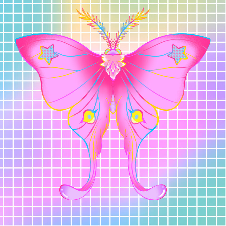 Neon Moth || September 2024